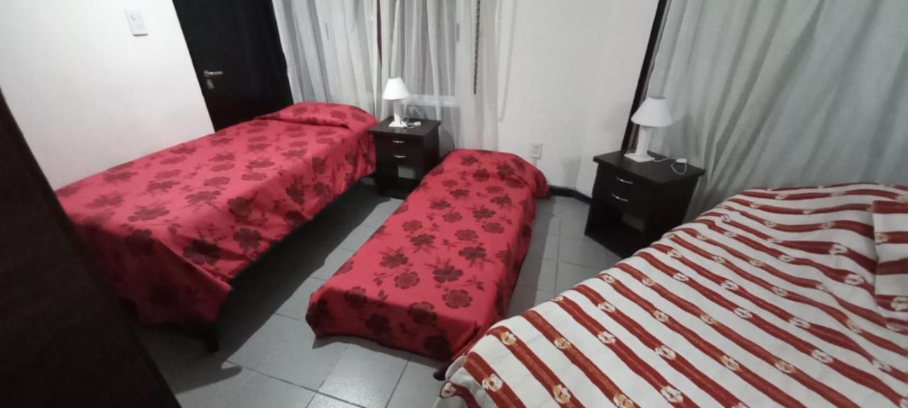 Apartamentos Willy - En Zona Residencial Con Estacionamiento เมนโดซา ภายนอก รูปภาพ